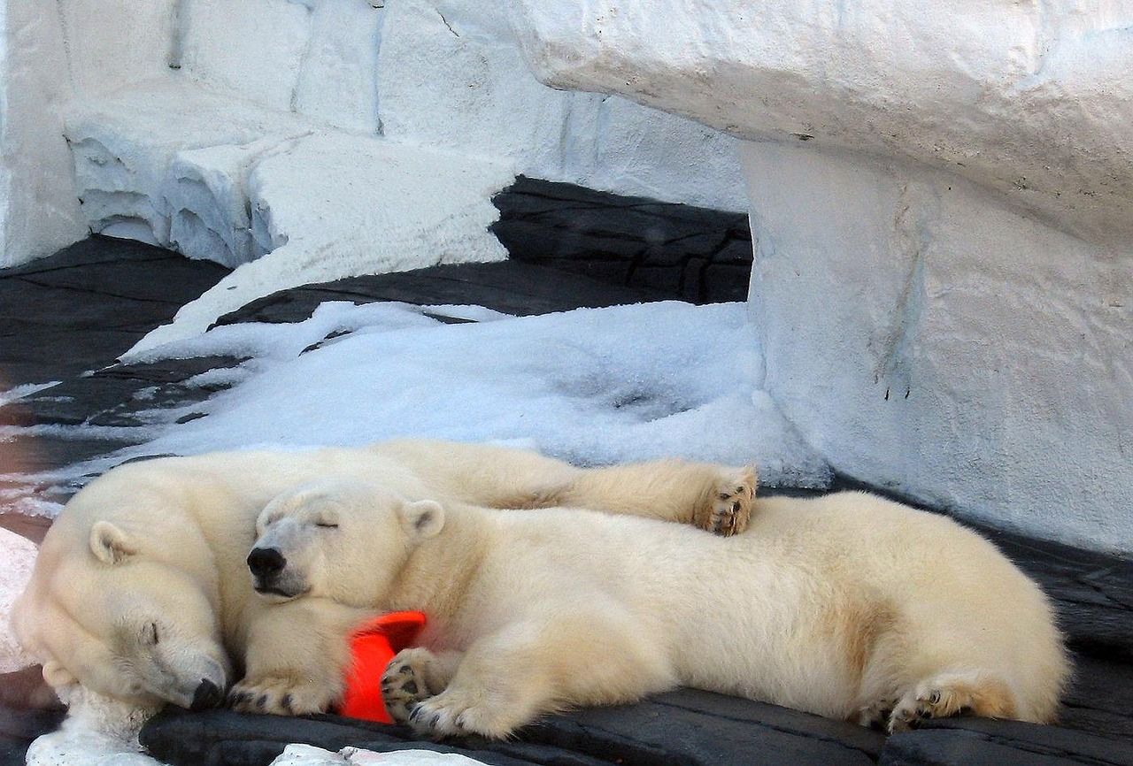 Understanding nap consistency: why it matters for sleep quality