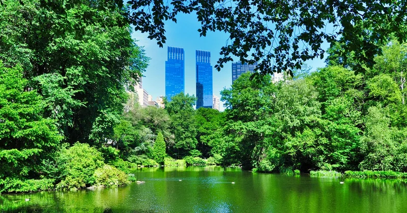 Why NYC competition breaks the normal playbook