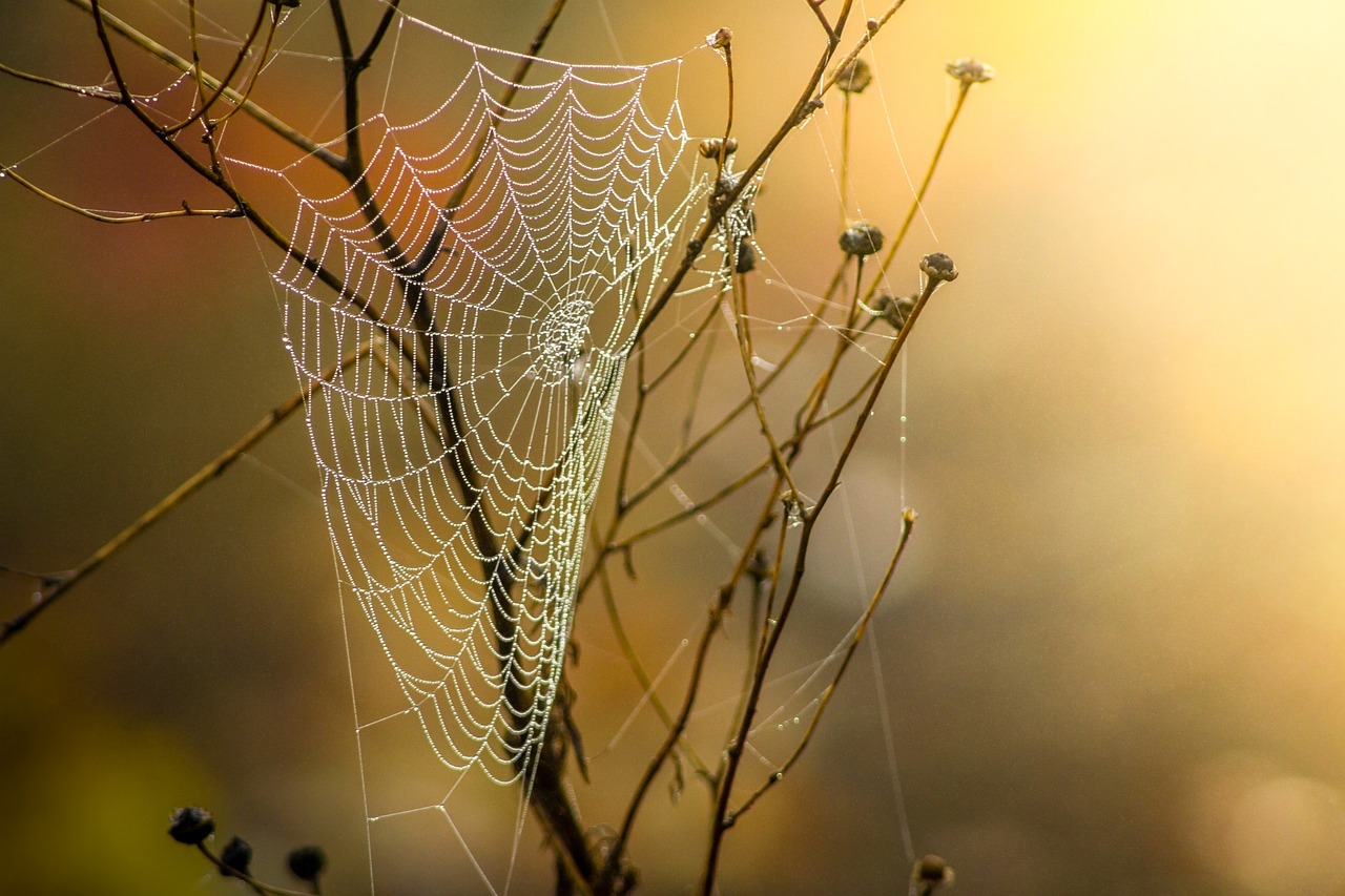 Understanding web analytics: A guide to tracking and optimizing your online performance