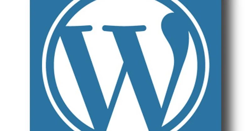 How to add local business schema to WordPress