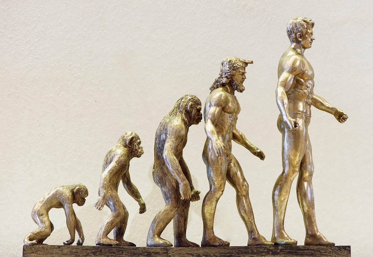 Understanding crawlability: How search engines navigate your website