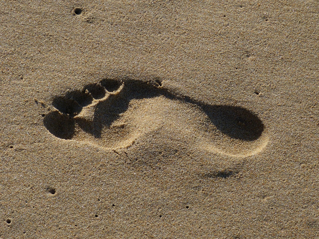 Understanding your digital footprint: what it is and why it matters