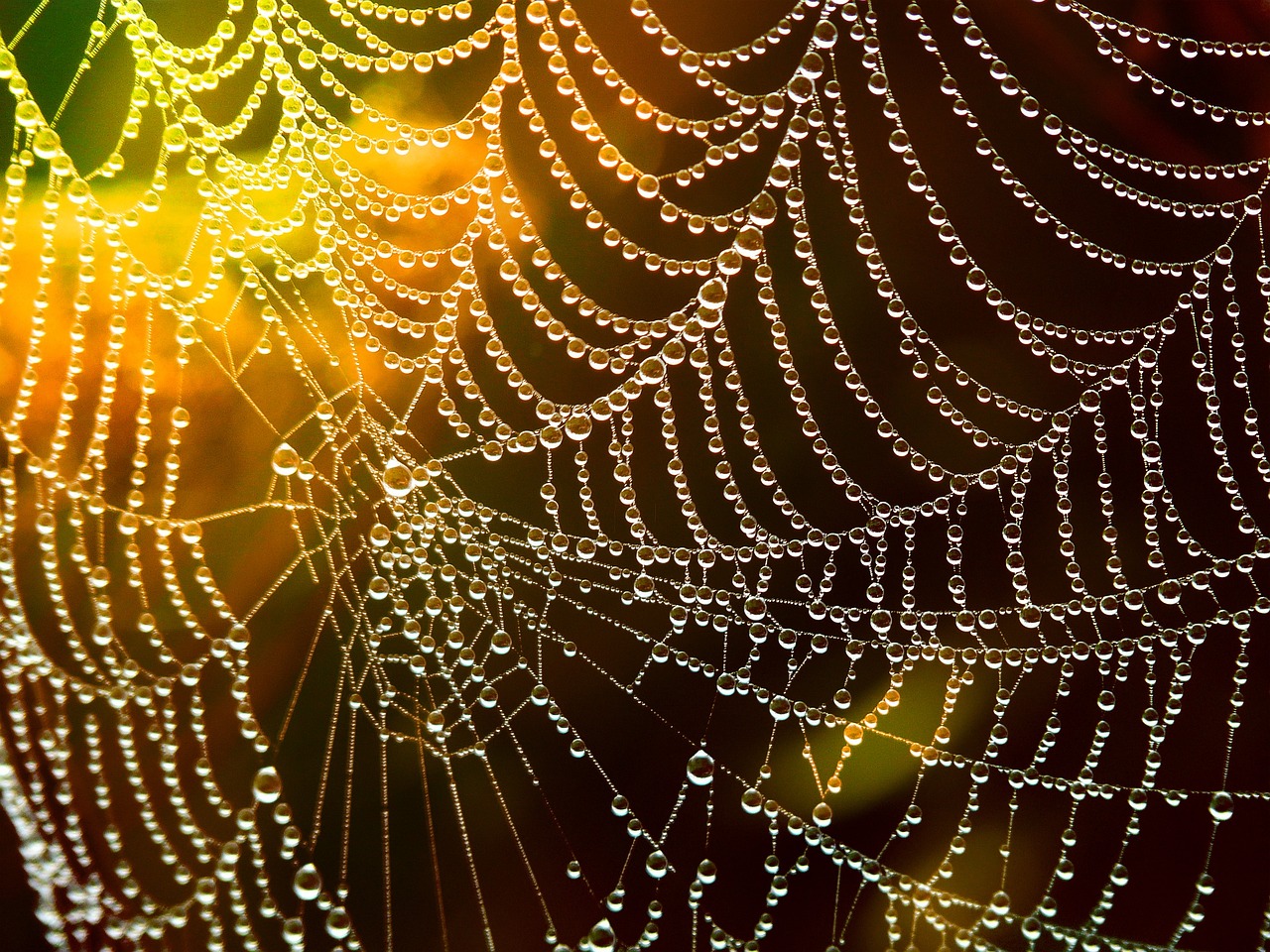 The essentials of web page optimization for better performance