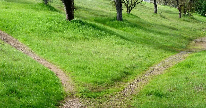 To disavow or not: the decision framework