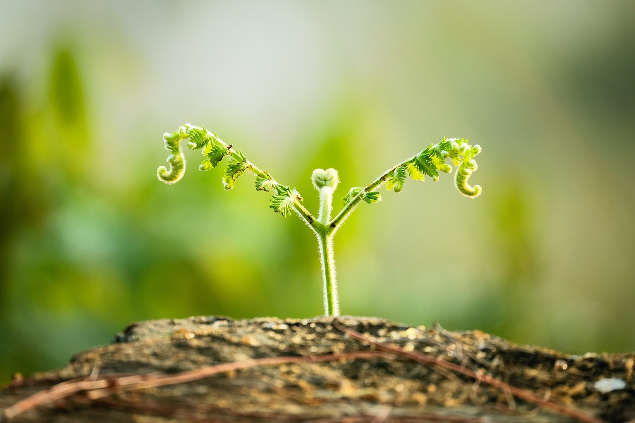 How to Achieve Sustainable Growth in Website Traffic