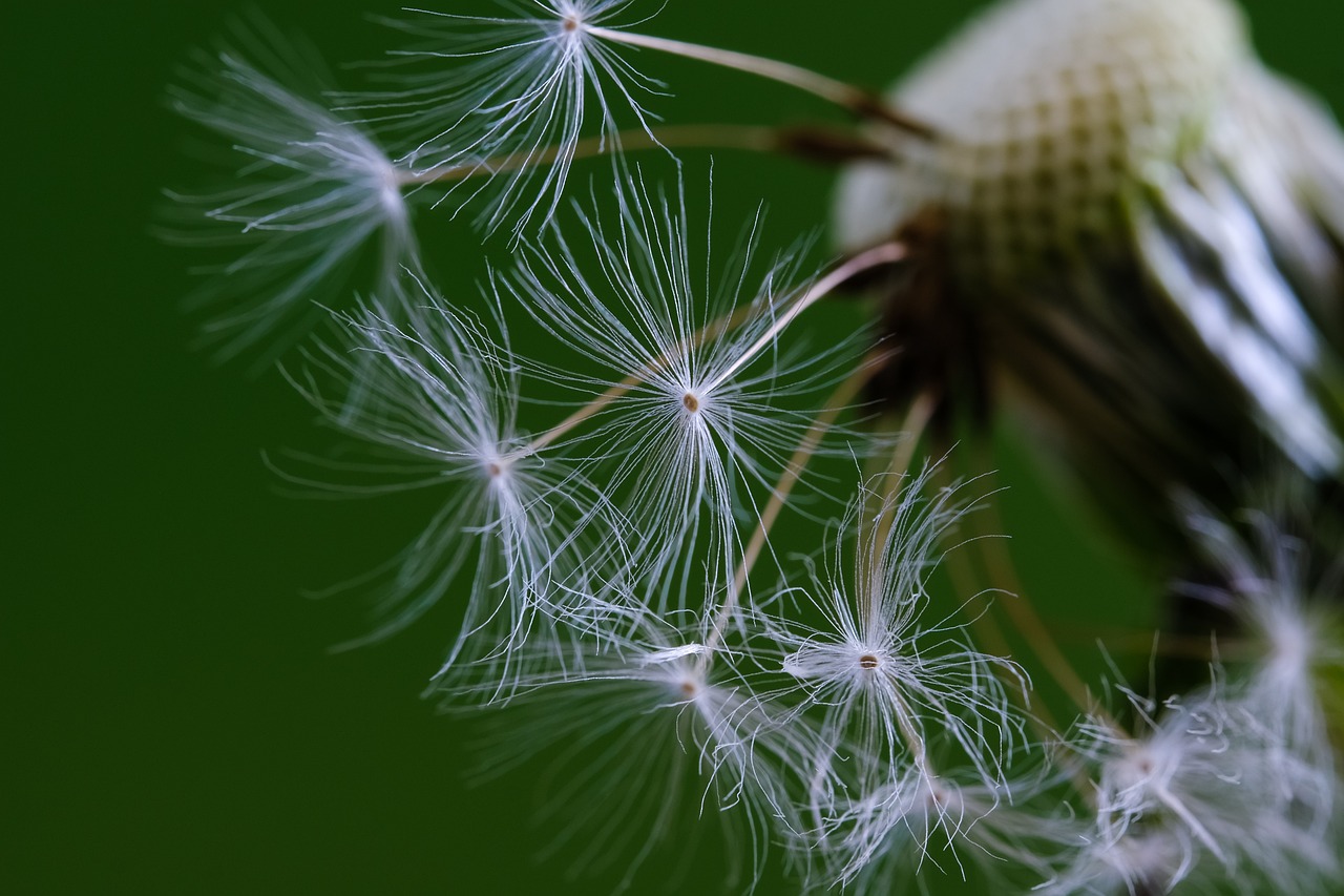 explore the concept of sustainable growth, focusing on strategies that balance economic development with environmental preservation and social equity. discover how businesses and communities can thrive while protecting our planet for future generations.