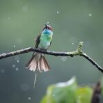 discover the power of long tail keywords to boost your seo strategy, attract targeted traffic, and improve your website's search engine ranking with precise and effective keyword optimization.