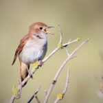 discover the benefits of guest posting to expand your reach, build authority, and drive targeted traffic to your website. learn effective strategies for successful guest blogging.