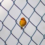 discover effective link building outreach strategies to boost your website's seo, increase domain authority, and drive targeted traffic organically.