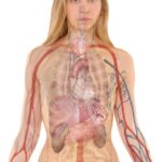 learn how schema markup can enhance your website's seo by providing search engines with detailed information about your content, improving visibility and click-through rates.